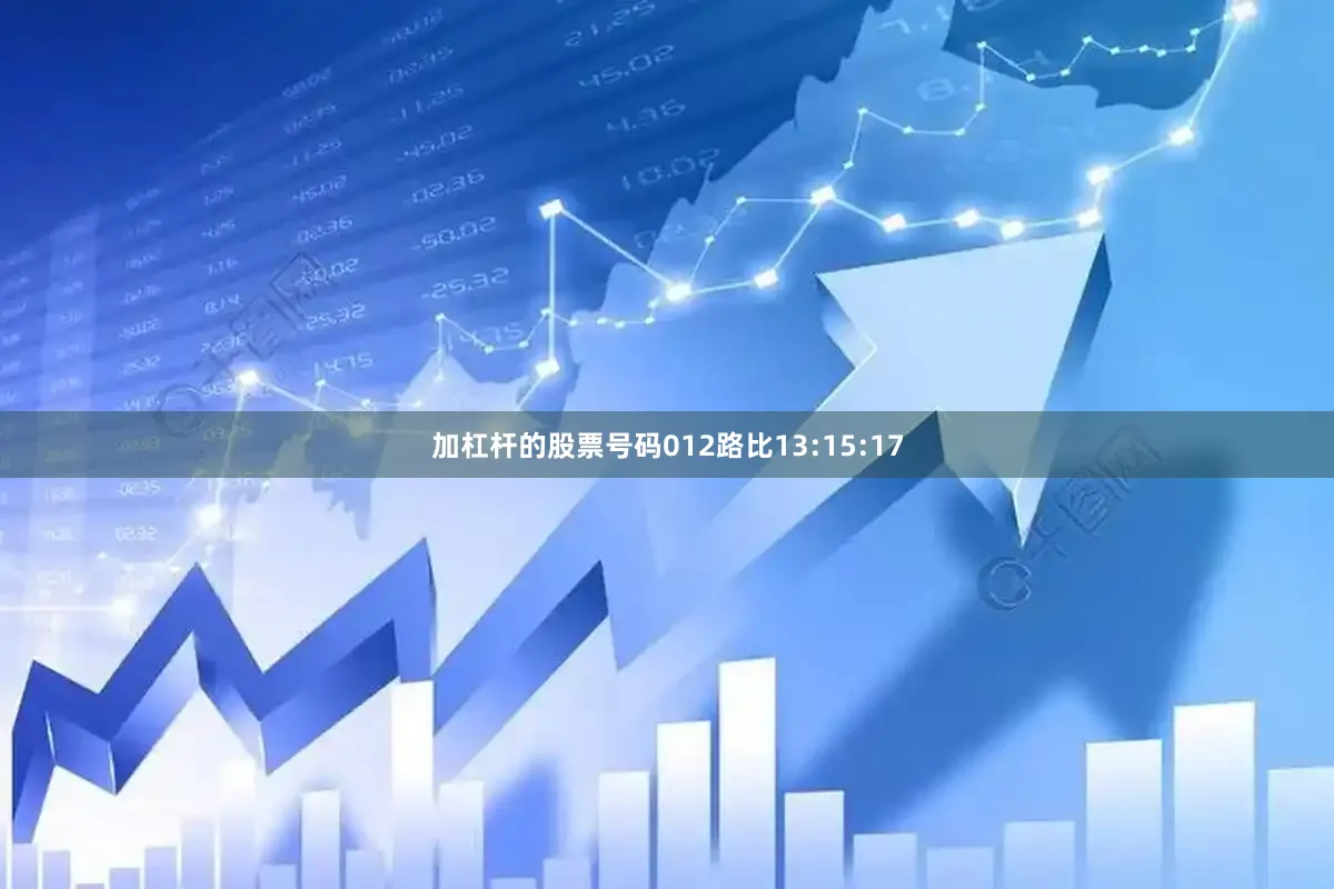 加杠杆的股票号码012路比13:15:17