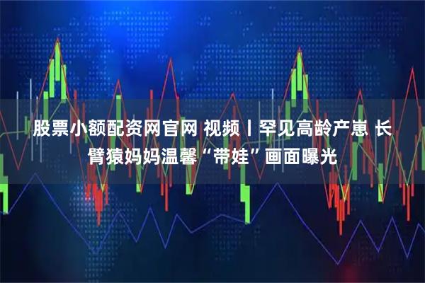 股票小额配资网官网 视频丨罕见高龄产崽 长臂猿妈妈温馨“带娃”画面曝光