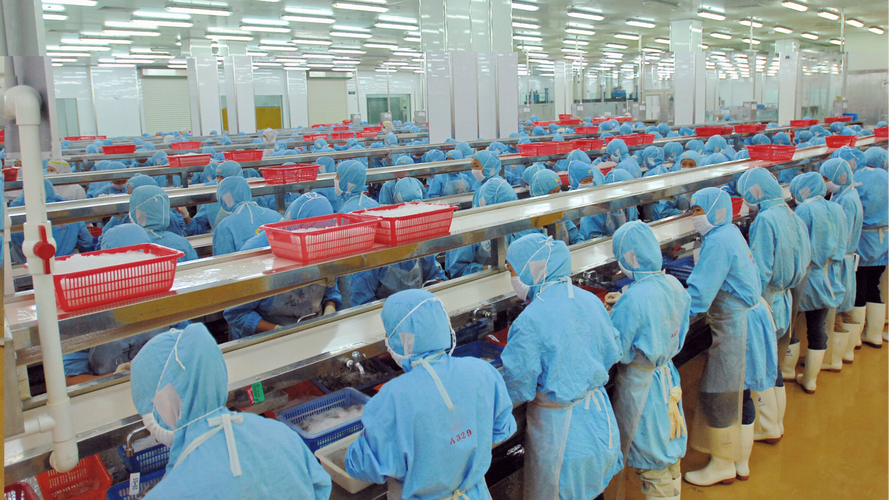 四川依诺丹商贸是集服装,针织品的设计,制造